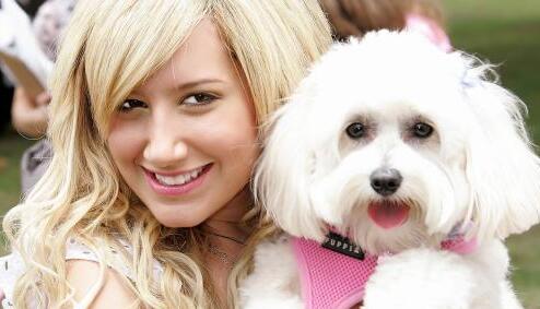 喜欢狗的女生性格特点,想追她就投其所好 喜欢狗的女生性格特点,想追她就投其所好第2张